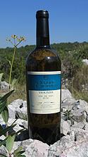 Viognier, Château de Ricardelle, Les Dames de Ricardelle,vin de Pays d'Oc