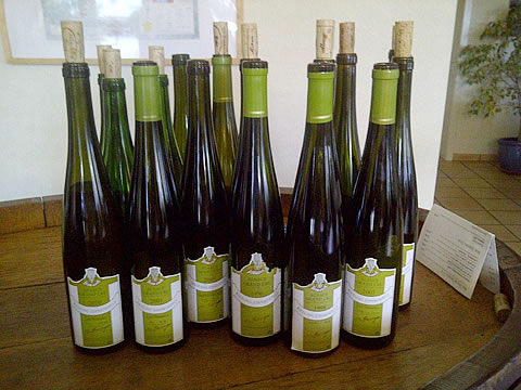 verticale Riesling - Eric Rominger