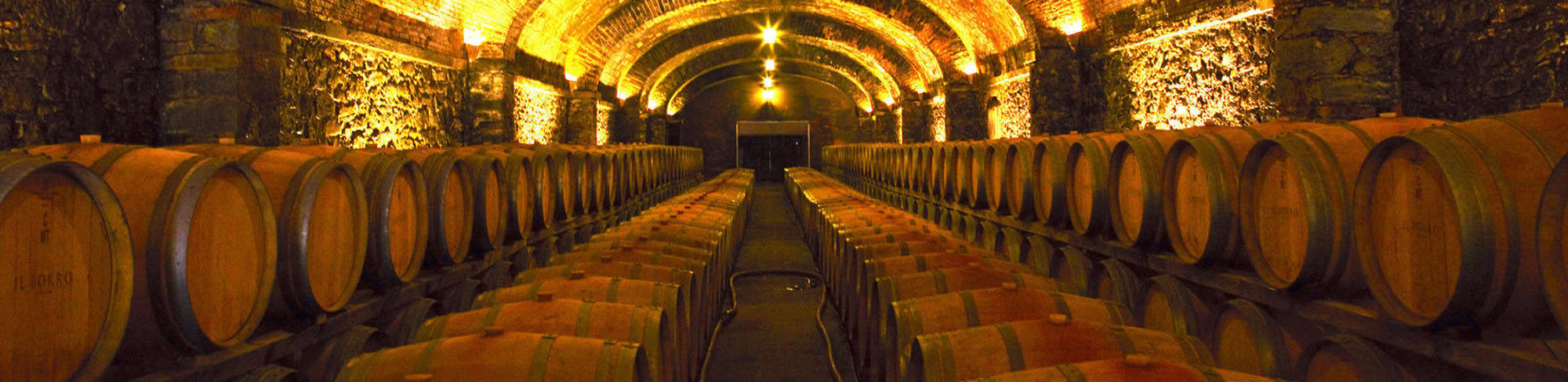 Cave à vins
